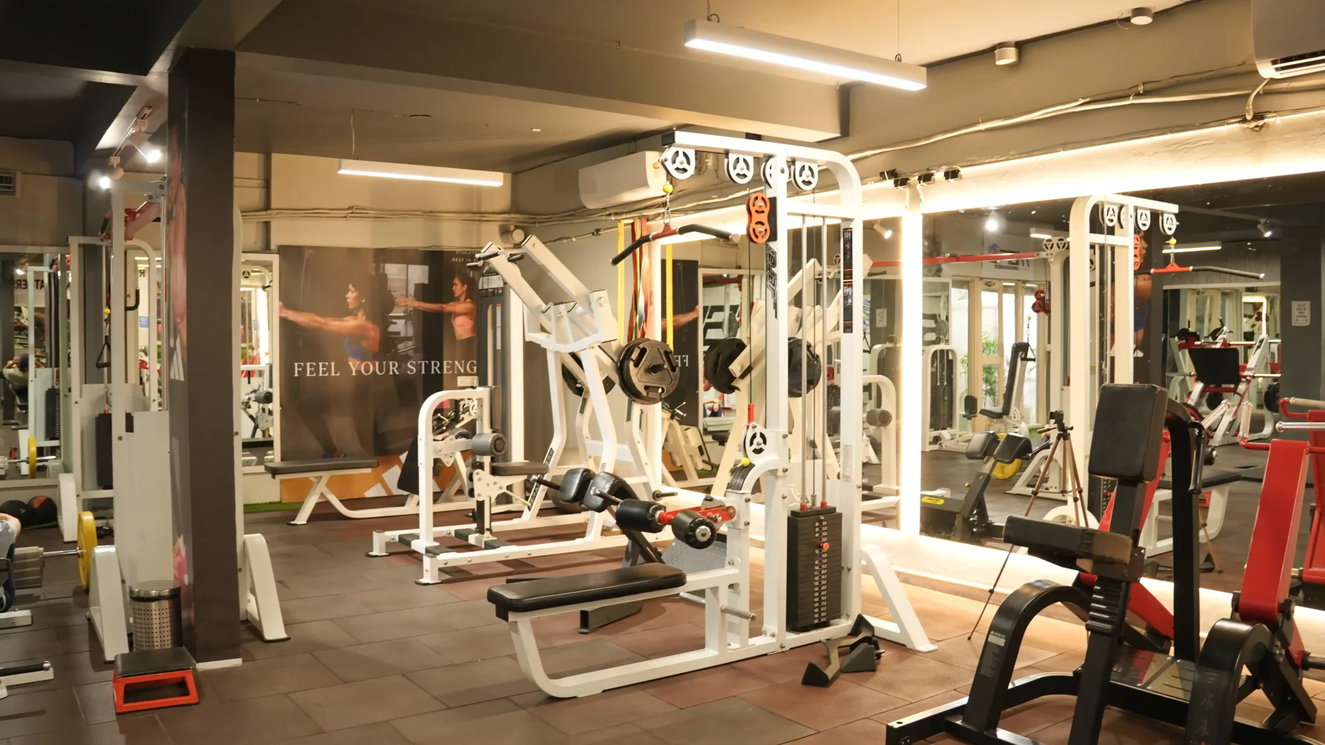 Close-up of Jerai 25kg red weight plate on squat rack
